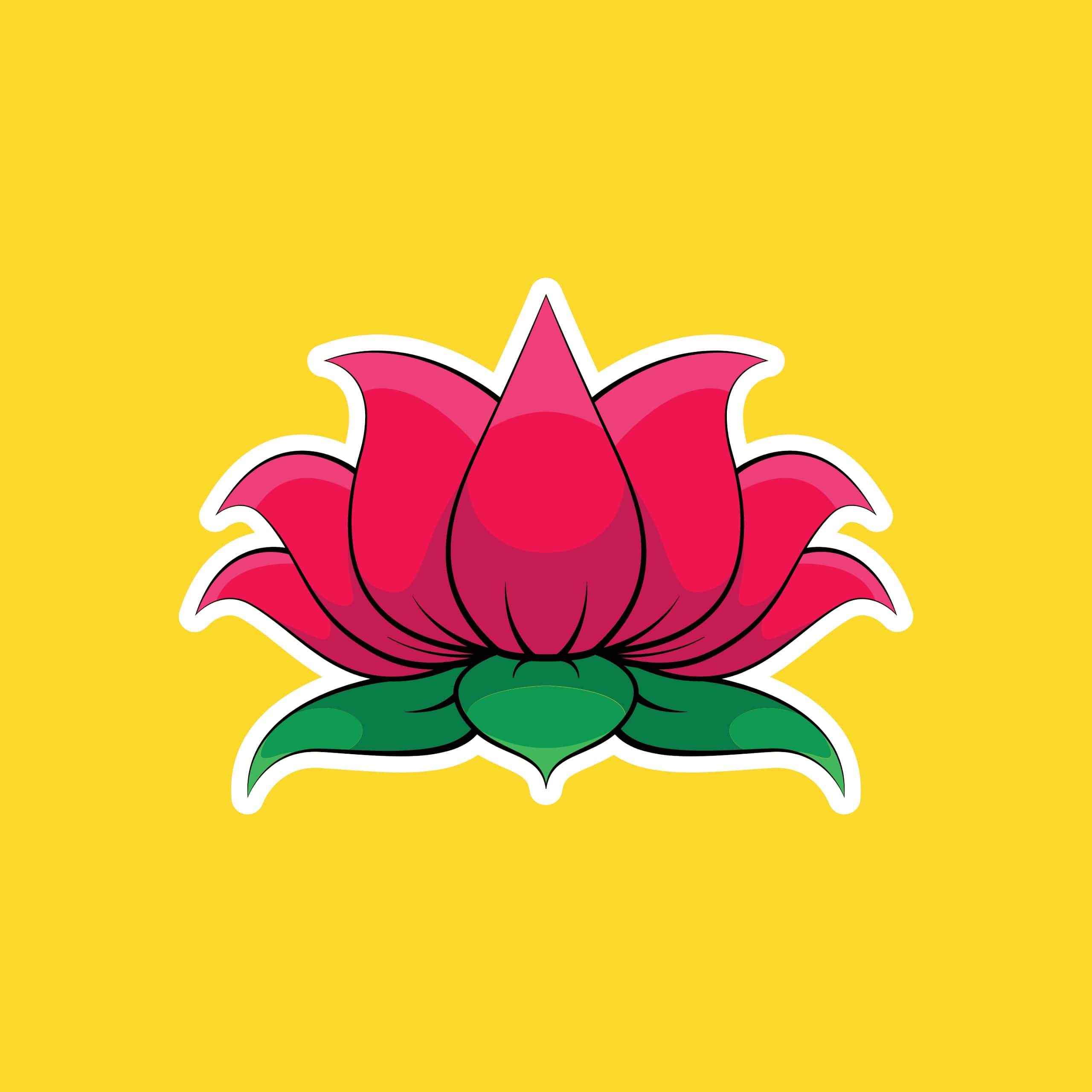 Lotus-min